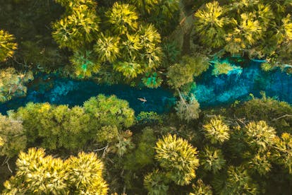 Elsey National Park