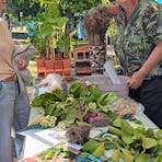 Bush Tucker