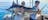 Private Billfish Charter