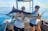 Private Billfish Charter