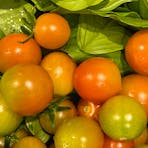 Homegrown Local Produce