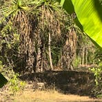Bees Creek Bush Camp