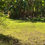 Bees Creek Bush Camp