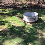 Beth's Backyard