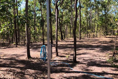 Beth's Backyard