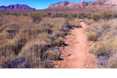 Walk & Waterhole - Ormiston Pound & Gorge