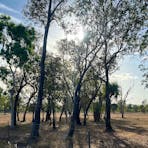 Leichhardt Arena Farm Stay