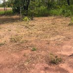 Brazzen Ranch