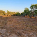 Buffs Shady Mango Camp