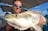 Half Day Barra Fishing Trip