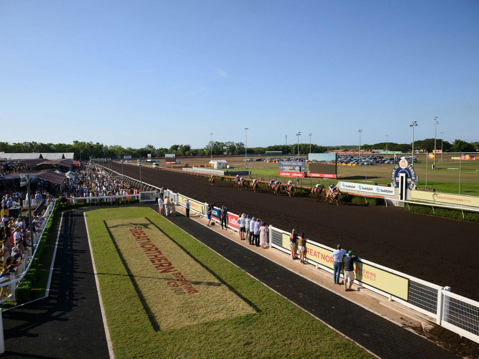 Great Northern Darwin Cup