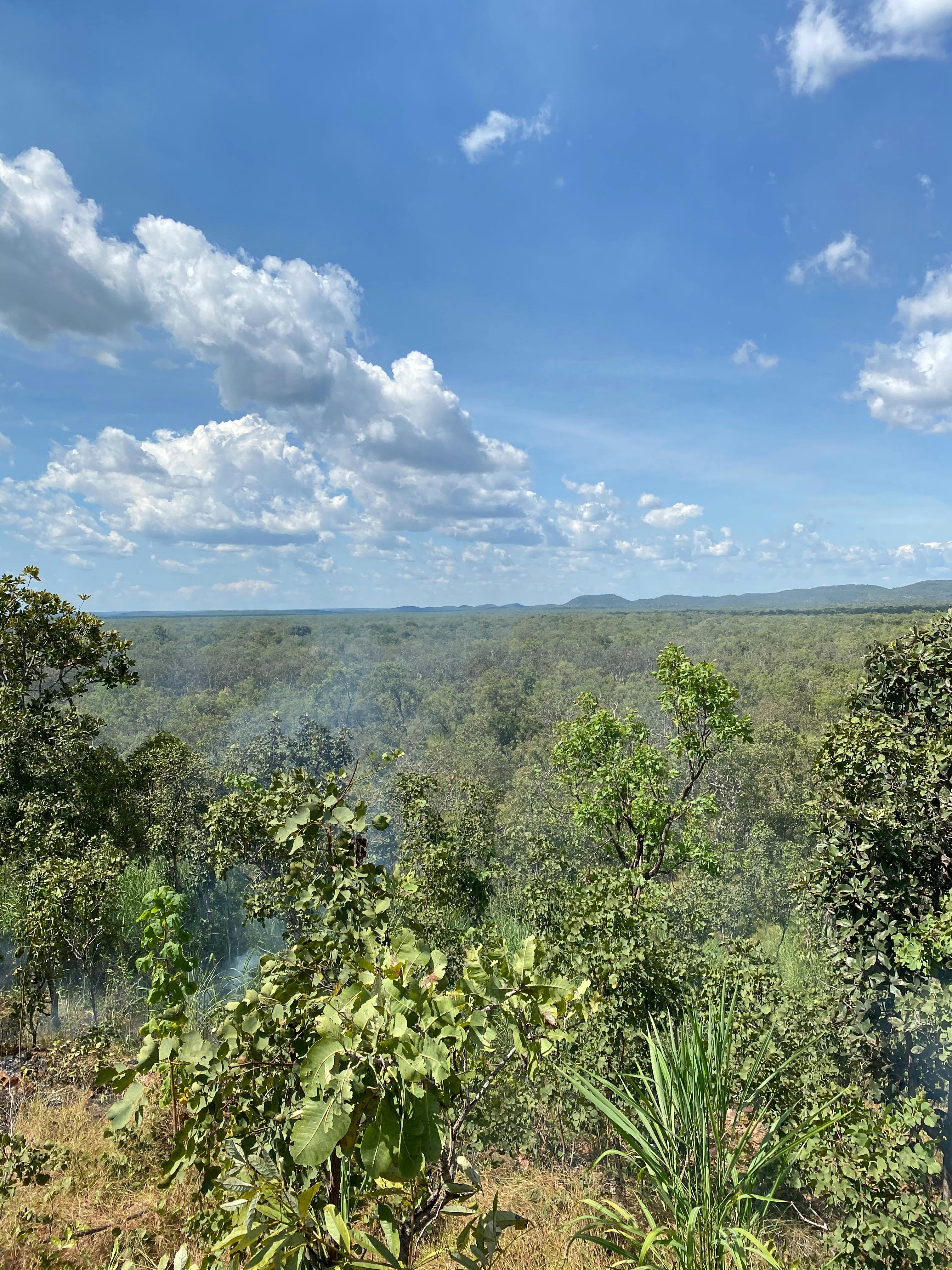 On Country Tours - Daly River