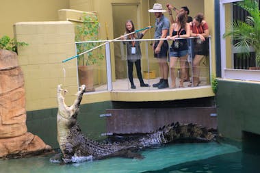Big Croc Feed VIP Experience