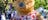 City of Darwin - Teddy Bears' Picnic - Darwin Festival