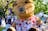 City of Darwin - Teddy Bears' Picnic - Darwin Festival