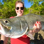 barramundi darwin