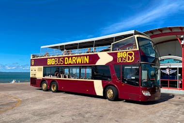 Big Bus Darwin