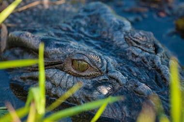 Kakadu, Arnhem Land & Litchfield - Northern Territory - 6 Days