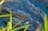 Kakadu, Arnhem Land & Litchfield - Northern Territory - 6 Days