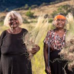 Artists Naomi Kantjuri and Maringka Burton collecting Tjanpi (grass) near their community of Amata.