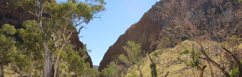 Larapinta Trail With World Expeditions