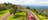 Travel to Sunshine coast, luxury coach travel