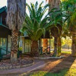 Desert Palms gardens