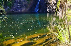 Tjaynera/Sandy Creek Falls