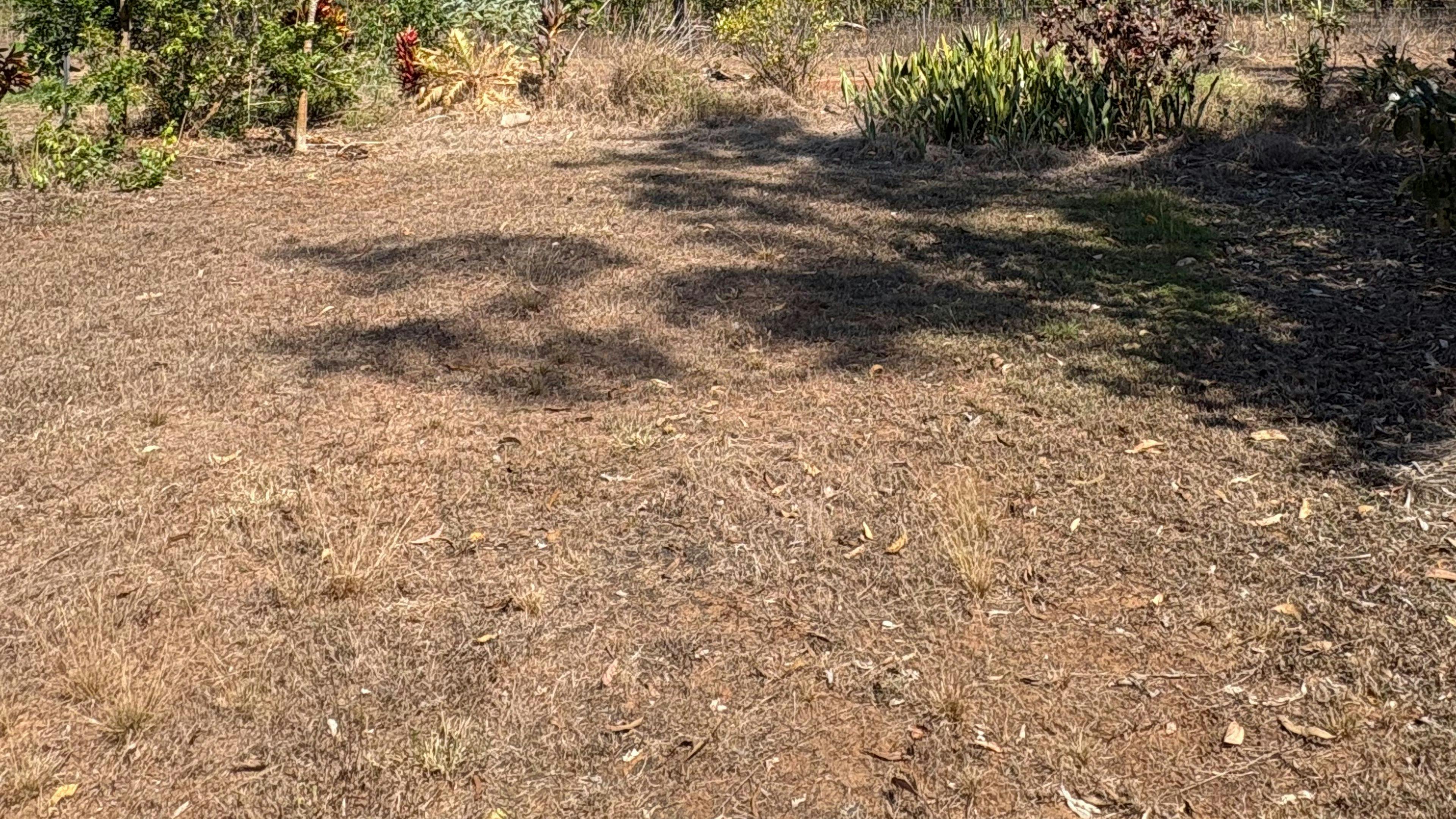 Girraween Bush Retreat
