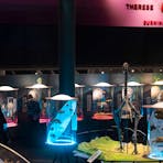 Transformations Gallery at MAGNT Darwin