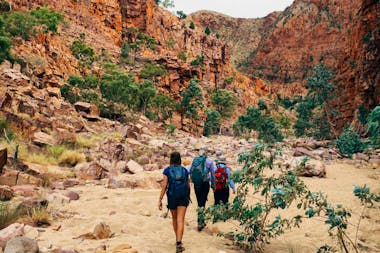Trek Larapinta