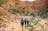 Trek Larapinta