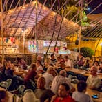 Darwin Festival 2016