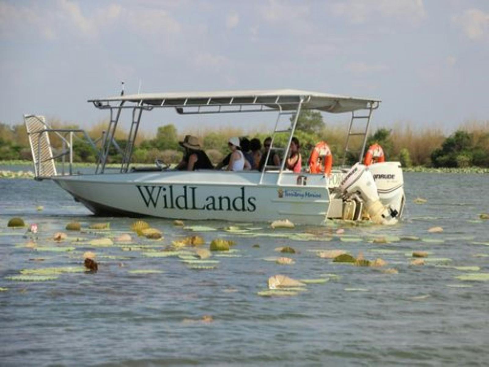 Wetlands Safari Cruise