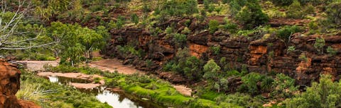 Palm Valley River
