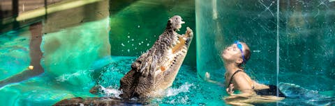 Cage of death in Darwin Northern Territory