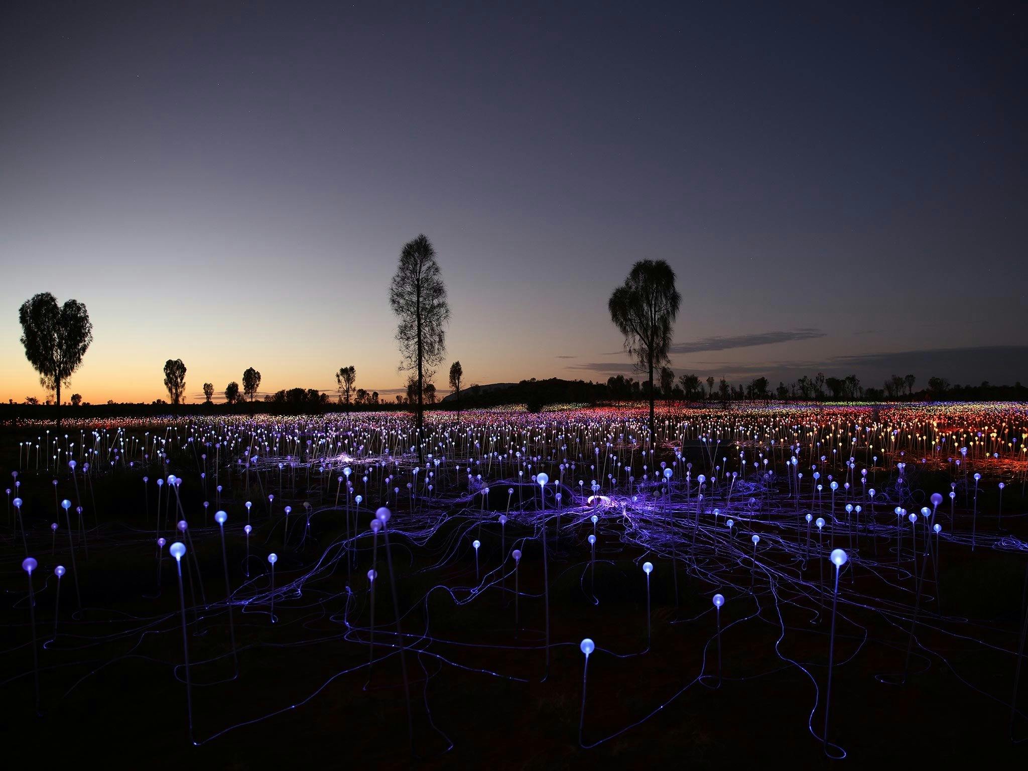 Immerse yourself in the Field of Light