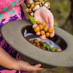 Native bush foods collected in a hat in the Northern Territory