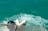 Shark Cage Diving