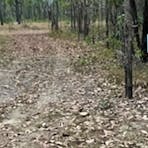 Camp Bundaleer on Kakadu Doorstep