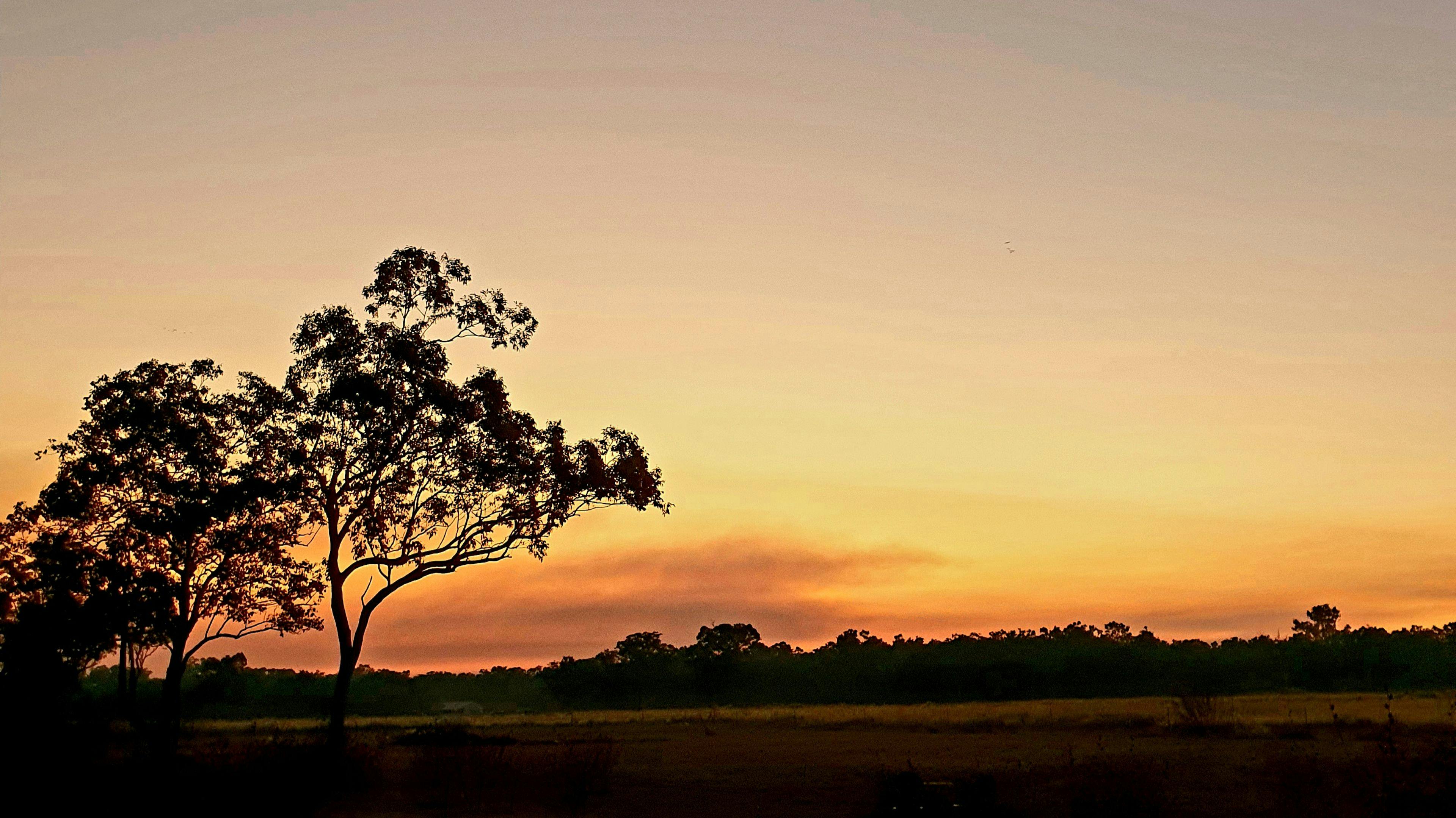 We often get great photo over our open paddock area, great for sunset drinks