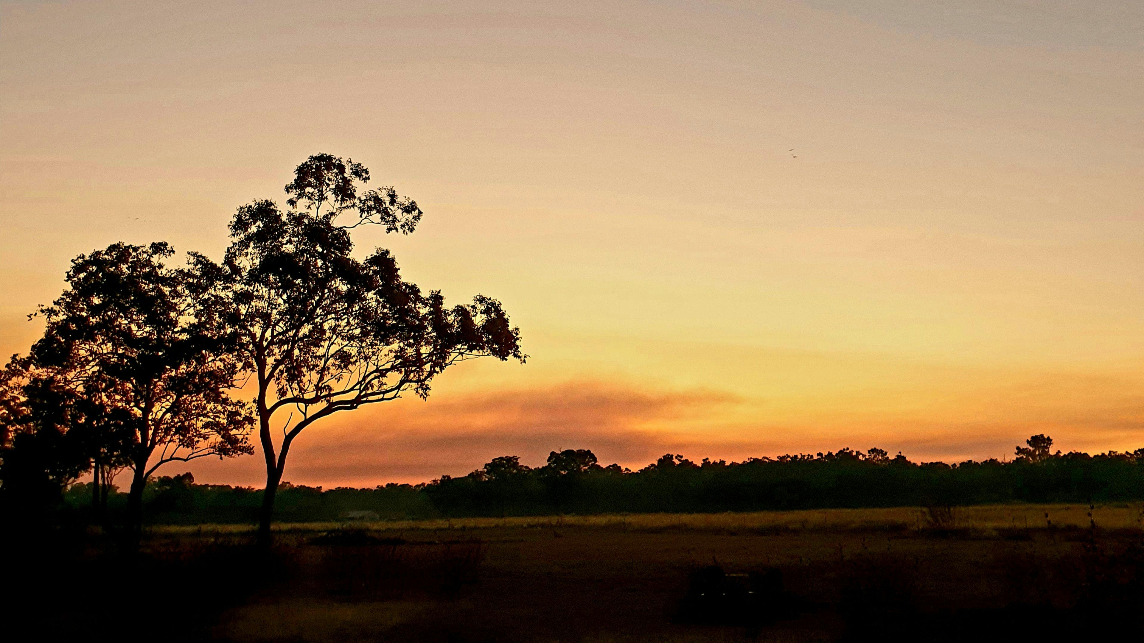 We often get great photo over our open paddock area, great for sunset drinks