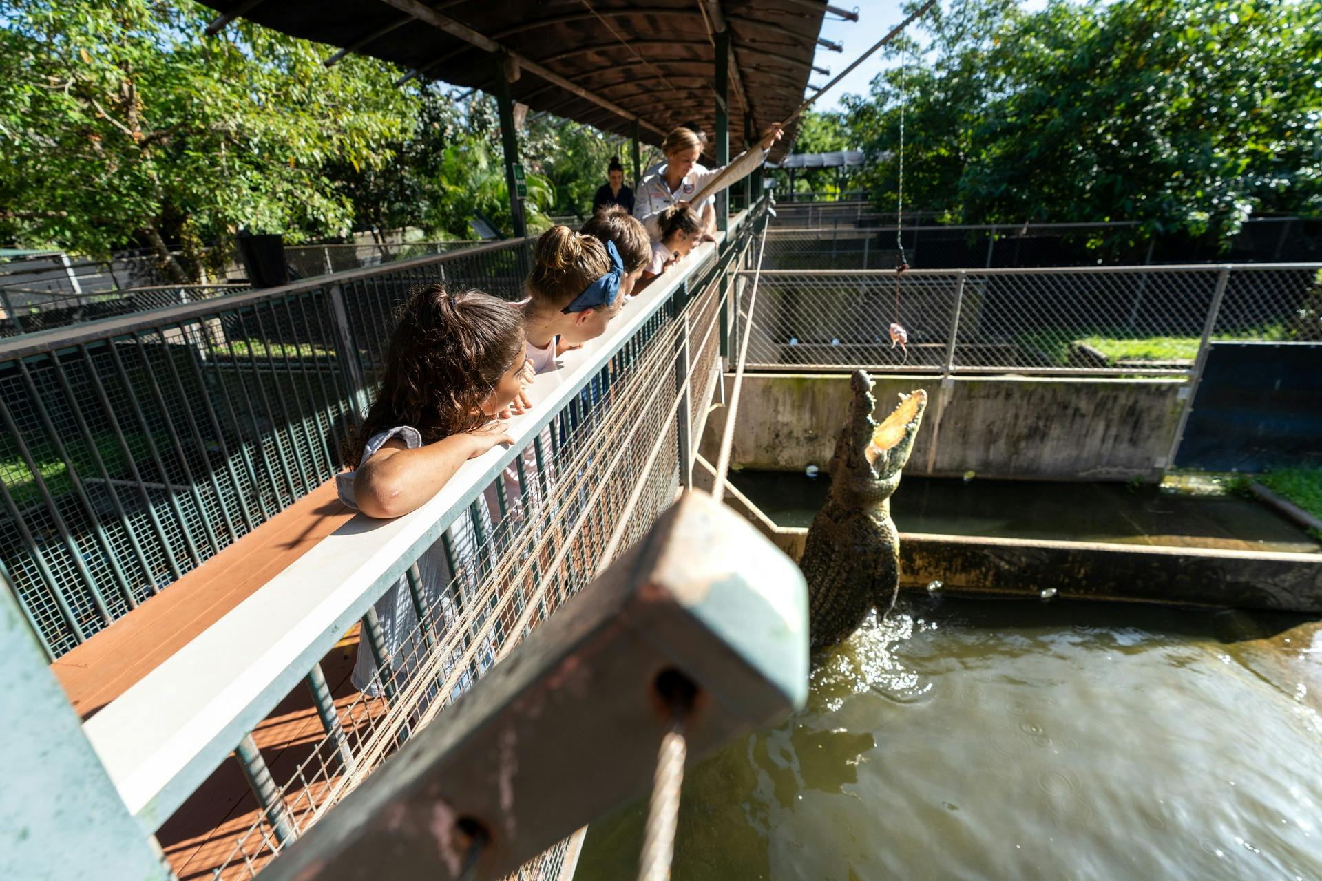 Daily Crocodile Feeding Tours