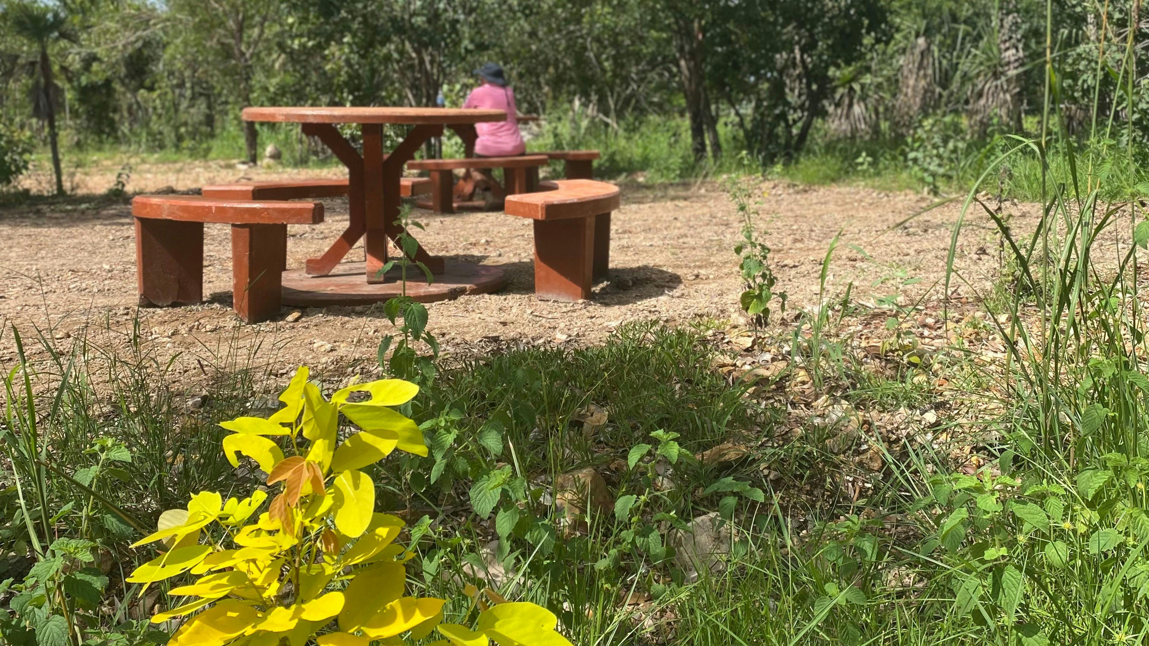 Berry Springs Park and Stay