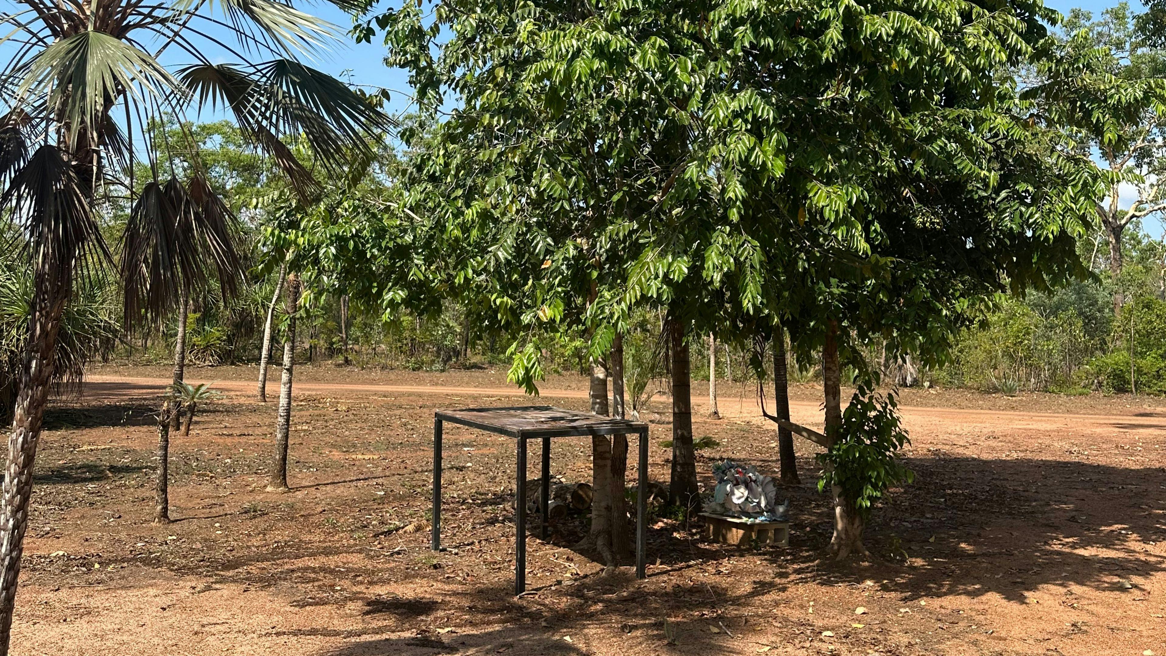 Cycad Garden Stay @ Dundee