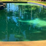 Humpty Doo Hotel swimming pool