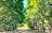 Mango Farm Stay