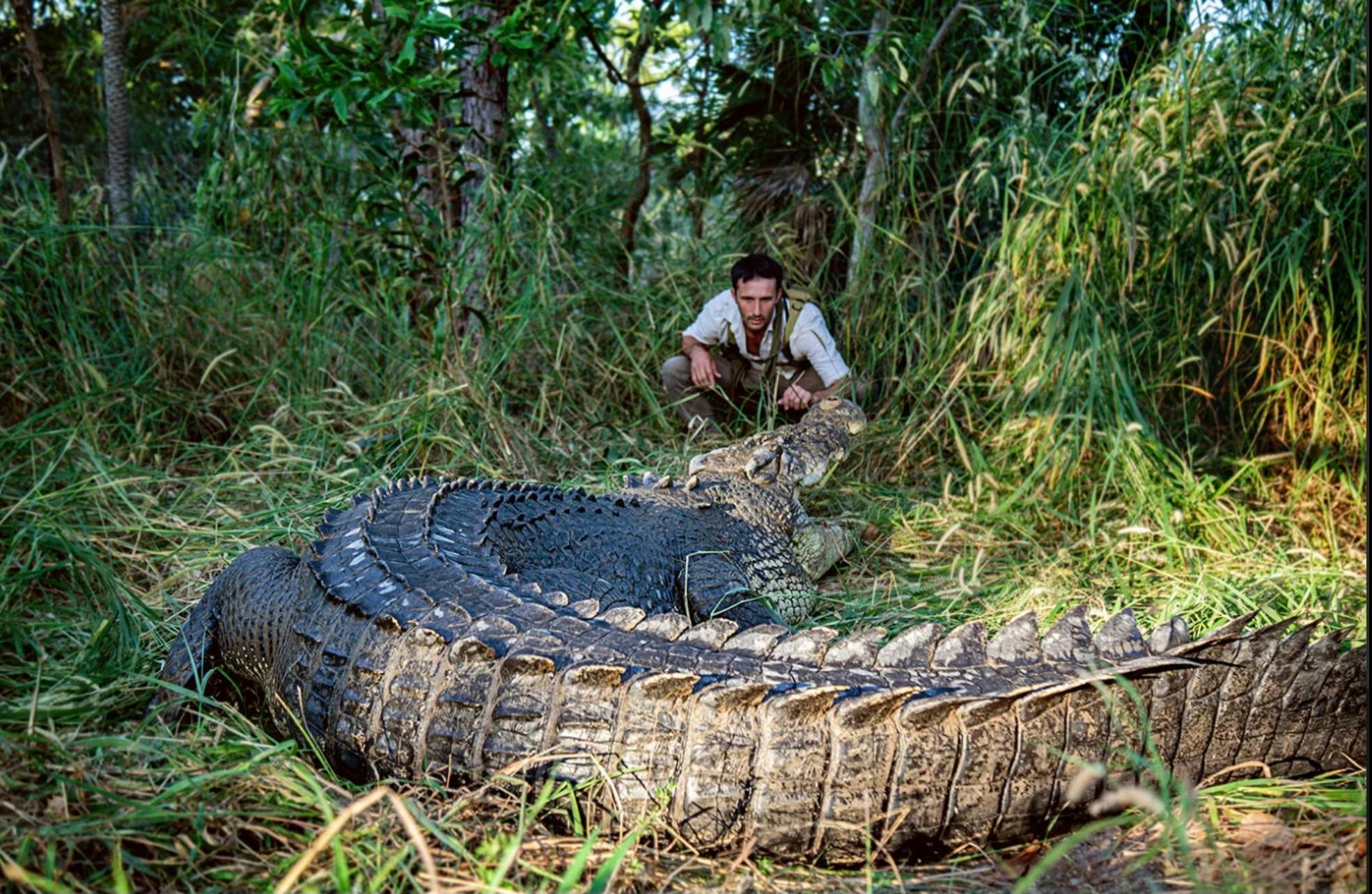 Australian Wild Tours