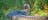 Australian Wild Tours