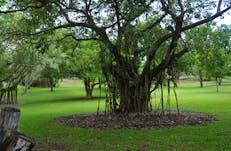Looking over Frog Hollow.